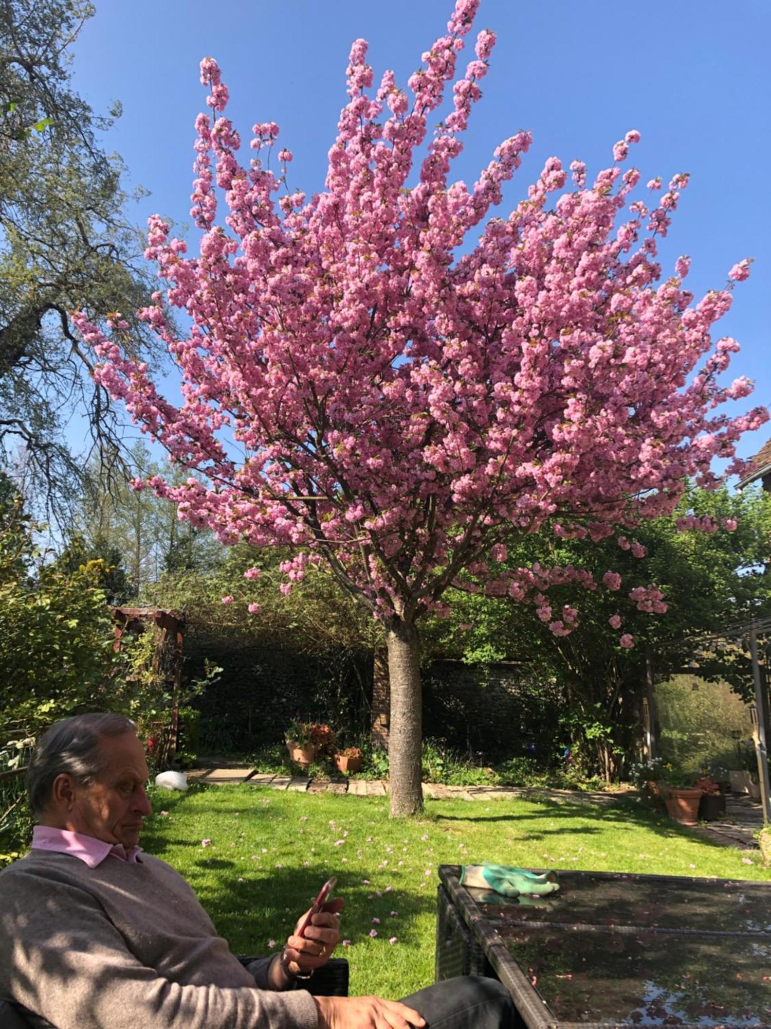 הוילה Dannemarie  Le Moulin De Dannemarie מראה חיצוני תמונה